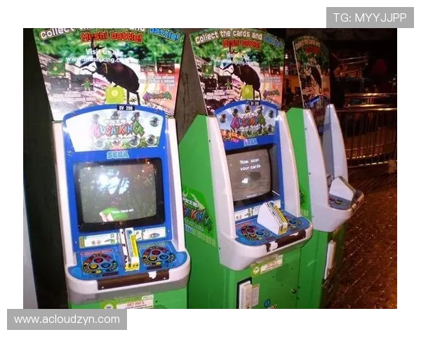 马来西亚赌场云顶网上平台的安全保障措施与风险控制策略